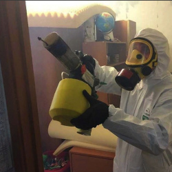 Уничтожение клопов в квартире. Ашукино